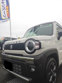 オススメ試乗車　ハスラー　タフワイルド